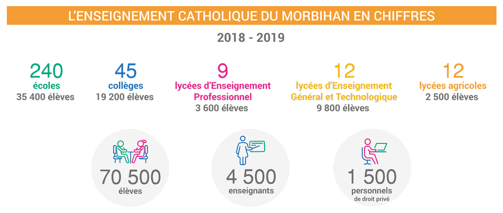 La DDEC 56 en chiffres 2018 - 2019