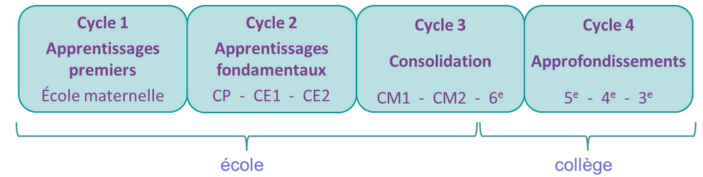 L'organisation du collège par cycles