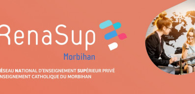 Formations post-bac dans l'Enseignement supérieur