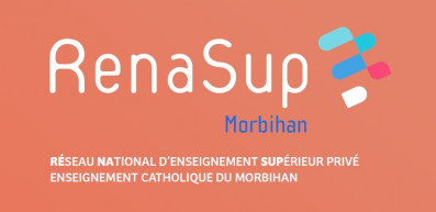 Formations post-bac dans l'Enseignement supérieur